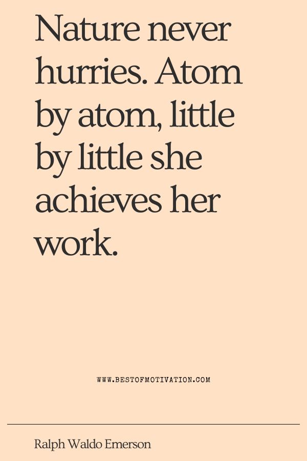 quote 46 