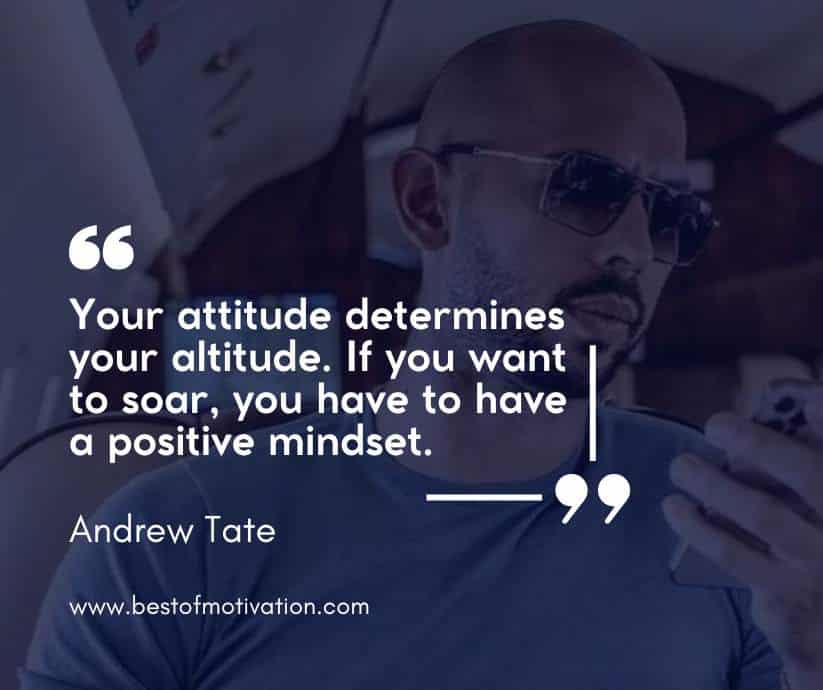 andrew tate quotes