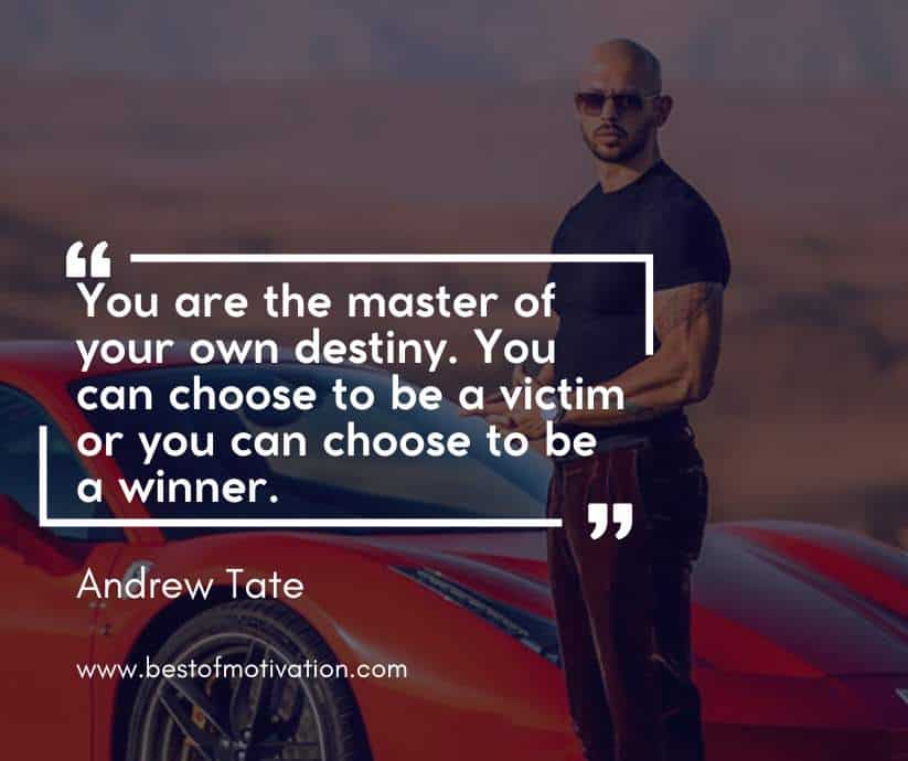 andrew tate quotes